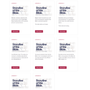 Storyline of the Bible | In-Depth Bible Study Academy Digital Course #2 - Image 2